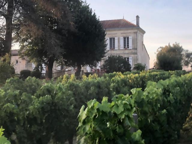 Pugnac Chateau Couchebout B&B 외부 사진
